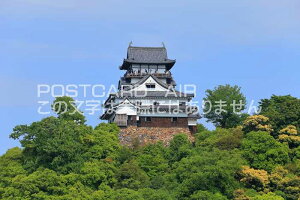 y{̃|XgJ[hAIRzmV΂̌RVt̂͂nKLt Be/kazukiatuko