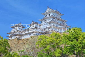 y{̕i|XgJ[hAIRzV΂̕PĤ͂nKLt Be/kazukiatuko