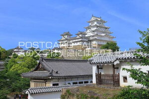 y{̕i|XgJ[hAIRzɌV΂̕PĤ͂nKLt Be/kazukiatuko