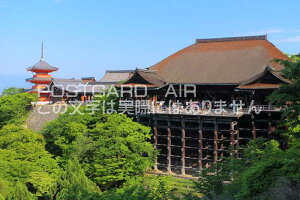 y{̕i|XgJ[hAIRzɌV΂̐̂͂̕nKLt Be/kazukiatuko