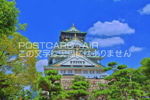 y{̕i|XgJ[hAIRz{sV΂̑̂͂nKLt Be/kazukiatuko