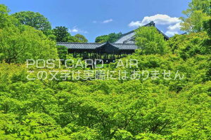 y{̕i|XgJ[hAIRzssRV΂̒ʓViĵ͂nKLt Be/kazukiatuko