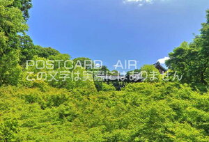 y{̕i|XgJ[hAIRzssRys{zV΂̒ʓViĵ͂nKLt Be/kazukiatuko