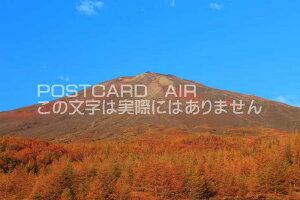 y{̕i|XgJ[hAIRzÉt^̐ԕxm̂͂nKLt Be/kazukiatuko