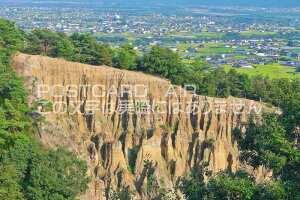 �y���{�̕��i�|�X�g�J�[�hAIR�z���������g�s���g�����m���@���g�̓y���i�g���ԁj�̂͂����n�K�L�t�� �B�e/kazukiatuko