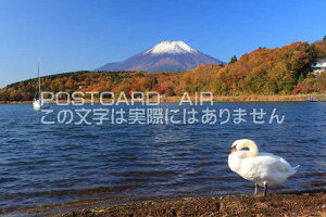 y{̕i|XgJ[hAIRzRR΍gtƕxmRƔ̂͂nKLt Be/kazukiatuko