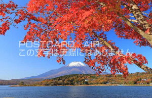 y{̕i|XgJ[hAIRzRgt̎R΂ƕxmR̂͂nKLt Be/kazukiatuko