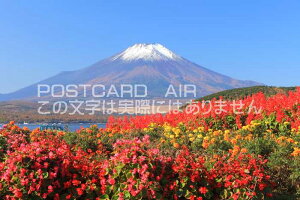 y{̕i|XgJ[hAIRzRTrAƕxmRiR΁ĵ͂nKLt Be/kazukiatuko