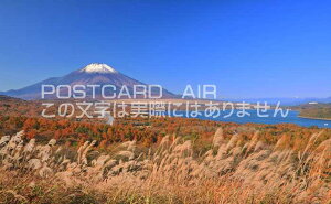 y{̕i|XgJ[hAIRzRR΃pm}䂩猩xmRƍgt̂͂nKLt Be/kazukiatuko