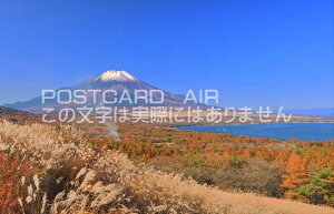 y{̕i|XgJ[hAIRzRR΃pm}䂩猩gtƕxmR̂͂nKLt Be/kazukiatuko