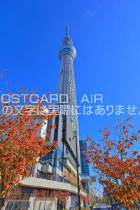 y{̕i|XgJ[hAIRzsncgtƓXJCc[̂͂nKLt Be/kazukiatuko