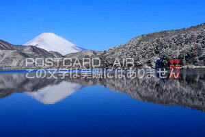 y{̕i|XgJ[hAIRz_ސ쌧'm΋txm̂͂nKLt Be/kazukiatuko