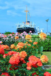 y{̕i|XgJ[hAIRz_ސ쌧lsRƕXۂ̂͂nKLt Be/kazukiatuko