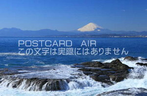 y{̕i|XgJ[hAIRz_ސ쌧]mxmƒ̂͂nKLt Be/kazukiatuko