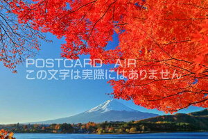 y{̕i|XgJ[hAIRzRxm͌΍gt̂͂nKLt Be/kazukiatuko