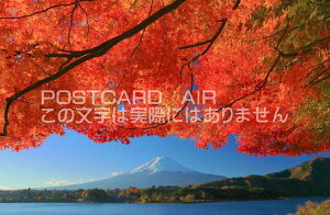 y{̕i|XgJ[hAIRzRxm͌΍gt̂͂nKLt Be/kazukiatuko