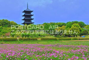 y{̕i|XgJ[hAIRzRБД܏d2017N̂͂nKLt Be/kazukiatuko