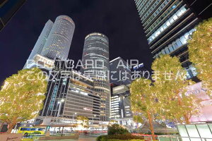 y{̕i|XgJ[hAIRzmÉwOi2019N̂͂nKLt Be/kazukiatuko