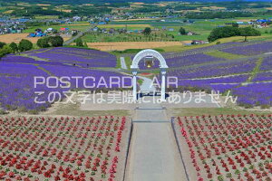 y{̕i|XgJ[hAIRzkCxǖ얞J̓̏ox_[̂͂nKLt Be/kazukiatuko