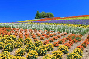 y{̕i|XgJ[hAIRzkCxǖ@̃t@[̂͂nKLt Be/kazukiatuko