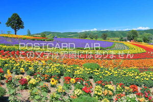 y{̕i|XgJ[hAIRzkClԂ̋û͂nKLt Be/kazukiatuko