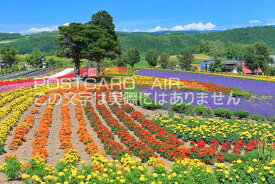 【日本の風景ポストカードAIR】北海道美瑛赤い屋根のある丘のはがきハガキ葉書 撮影/kazukiatuko