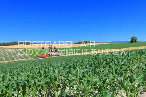 �y���{�̕��i�|�X�g�J�[�hAIR�z�k�C�����l����i�Ԃ������̂���u�̂͂����n�K�L�t�� �B�e/kazukiatuko