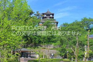 y{̕i|XgJ[hAIRz䌧sۉV΂̊ۉ̂͂nKLt Be/kazukiatuko