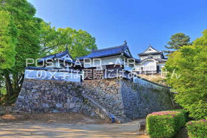 y{̕i|XgJ[hAIRzyRzV΂̔R̂͂nKLt Be/kazukiatuko