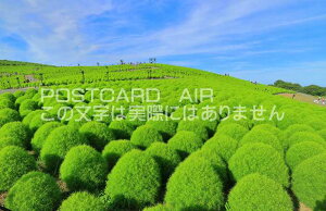 y{̕i|XgJ[hAIRzcЂCl̗ΗtRLÂ͂nKLt Be/kazukiatuko