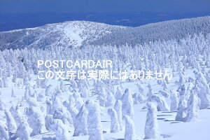 y{̕i|XgJ[hAIRzX2015N̂͂nKLt Be/kazukiatuko