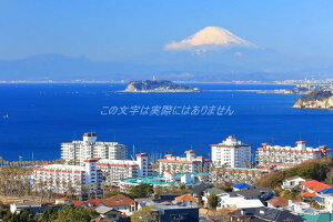 y{̕i|XgJ[hAIRz_ސ쌧xmRƍ]̓Ɛq}[i2019ÑnKLt Be/kazukiatuko