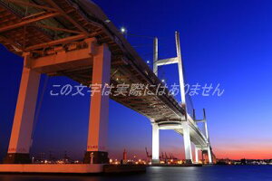 y{̕i|XgJ[hzlxCubW̖i@̉2015ÑnKLt Be/kazukiatuko