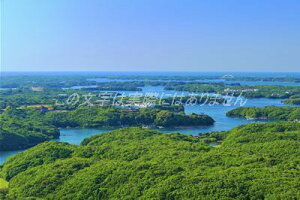 y{̕i|XgJ[hzOdusL875|20RW]䐰V̉pp̃|XgJ[hnKLt Be/kazukiatuko