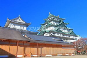 y{̕i|XgJ[hzmÉVƖ{یa1̃|XgJ[hnKLt Be/kazukiatuko