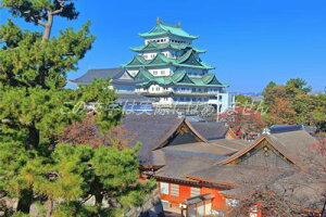 y{̕i|XgJ[hzmÉVƖ{یa4̃|XgJ[hnKLt Be/kazukiatuko