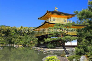 y{̕i|XgJ[hzs{ss@t̃nKL2t Be/kazukiatuko