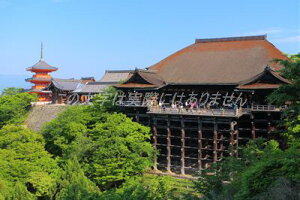 y{̕i|XgJ[hzs{ss@̃nKLt2 Be/kazukiatuko