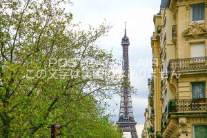 ytX̕i|XgJ[hztXp̃GbtF̂iF