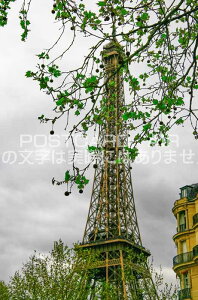 ytX̕i|XgJ[hztXp̃GbtF̂iF