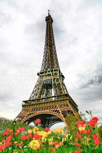 ytX̕i|XgJ[hzGbtF̂p̌iF2008N̂͂nKLt