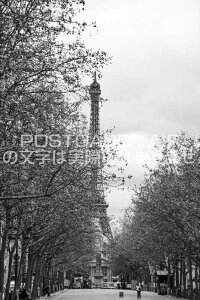 �y�t�����X�̕��i�|�X�g�J�[�h�z�G�b�t�F�����̂���p���̌i�F2008�N�̂͂����n�K�L�t���i�����ʐ^�j