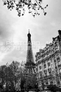 ytX̕i|XgJ[hzGbtF̂p̌iF2008N̂͂nKLtiʐ^j