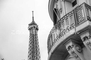 ytX̕i|XgJ[hzGbtF̂p̌iF2008N̂͂nKLtiʐ^j