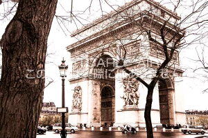 ytX̕i|XgJ[hztXp M̂iF