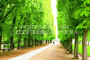 ytX̕i|XgJ[hztXp΂ɉߋ܂ꂽ