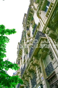 ytX̕i|XgJ[hzp̕i2008N̂͂nKLtParis2008N