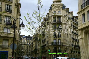 ytX̕i|XgJ[hzp̕i2008N̂͂nKLtParis2008N