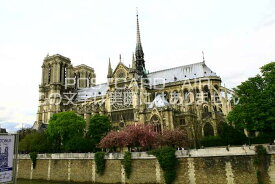 【フランスの風景ポストカード】パリの風景ノートルダム大聖堂2008年のはがきハガキ葉書Paris2008年