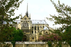 ytX̕i|XgJ[hzp̕im[g_吹2008N̂͂nKLtParis2008N